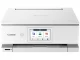 CANON (キヤノン) プリンター PIXUS TS8930 [ホワイト]