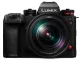 Panasonic (パナソニック)LUMIX DC-S1RM2M 標準ズームレンズキット