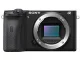 SONY(ソニー) α6600 ILCE-6600 ボディ