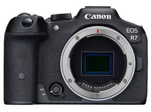 CANON(キヤノン) EOS R7 ボディ買取画像