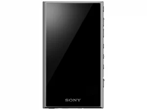 SONY (ソニー) NW-A306 (H) 32GB グレー買取画像