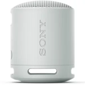SONY (ソニー) SRS-XB100 (HC) [ライトグレー]買取画像