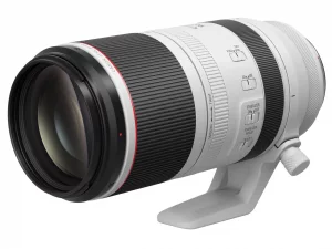 CANON(キヤノン) RF100-500mm F4.5-7.1 L IS USM買取画像