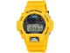 CASIO (カシオ) G-SHOCK 6900 SERIES 30TH ANNIVERSARY MODEL DW-6900TR-9JR