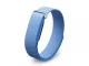 Google Fitbit (グーグルフィットビット)